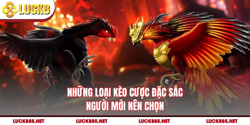 Những loại kèo cược đặc sắc người mới nên chọn