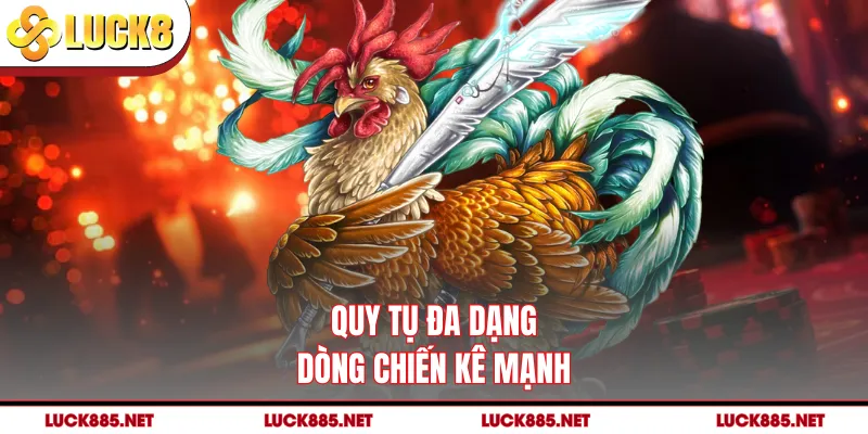 Quy tụ đa dạng dòng chiến kê mạnh